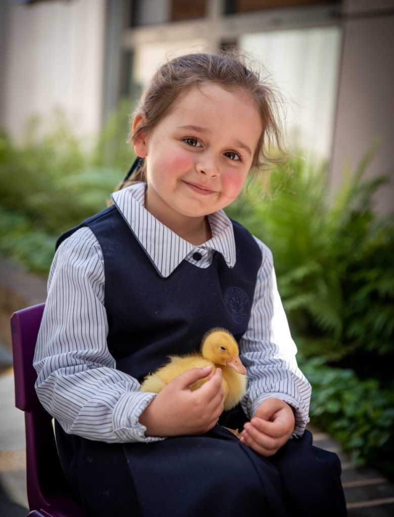 Kindergarten | Meriden